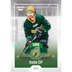 2022/23 Goal Cards Chance Liga Update #417 Radek Číp Expo Green