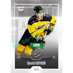 2022/23 Goal Cards Chance Liga Update #428 David Kofroň Expo Green
