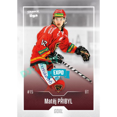 2022/23 Goal Cards Chance Liga Update #430 Matěj Přibyl Expo Blue