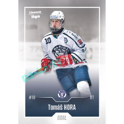 2022/23 Goal Cards Chance Liga Update #456 Tomáš Hora