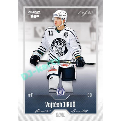 2022/23 Goal Cards Chance Liga Update #458 Vojtěch Jiruš Silver 1 of 60