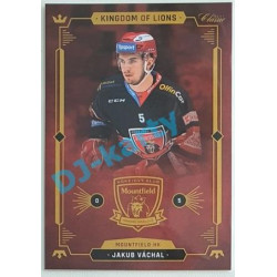2021 OFS Kingdom of Lions Jakub Váchal #B11