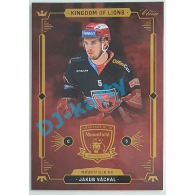 2021 OFS Kingdom of Lions Jakub Váchal #B11
