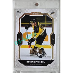 2023/24 Goal cards Chance Liga 2. série #363 Roman Přikryl Expo Gold 1of7