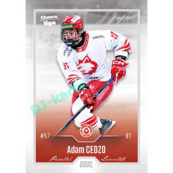 2022/23 Goal Cards Chance Liga Update #468 Adam Cedzo Silver 1 of 60