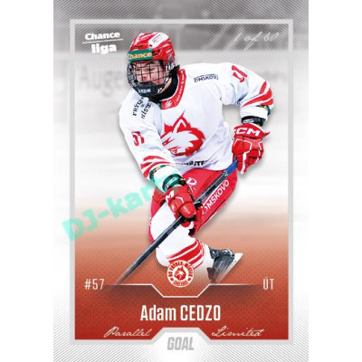 2022/23 Goal Cards Chance Liga Update #468 Adam Cedzo Silver 1 of 60