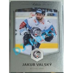 2018/19 OFS #378 Jakub Valský Silver /55