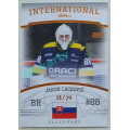 International Team Parallel xx/29