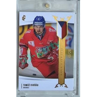 2023/24 LC Expectations Road to Prague #EHK-01 Tomáš Dvořák Gold xx/20