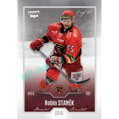 2022/23 Goal Cards Chance Liga 1. série #048 Robin Staněk Silver 1 of 60