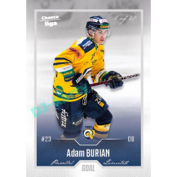 2022/23 Goal Cards Chance Liga Update #493 Adam Burian Silver 1 of 60