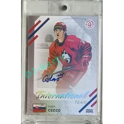 2023/24 Goal cards Chance Liga 2. série #IN-24 Adam Cedzo International Autograph xx/25