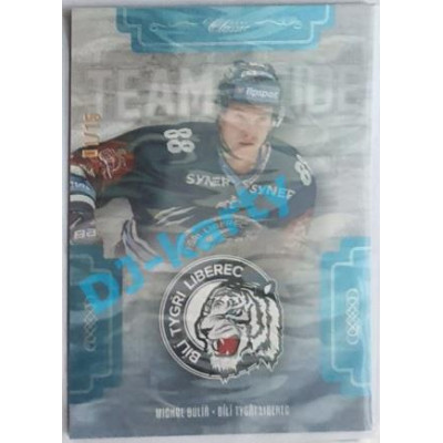 2019/20 OFS Michal Bulíř #TP-MBU 01/15 Team Pride Ice Water