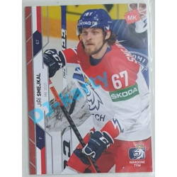 2021 MK reprezentace Jiří Smejkal MS 2021 #72 8/25 Red