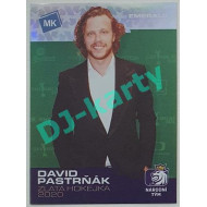2020 MK STICK with czech hockey - David Pastrňák - Emerald