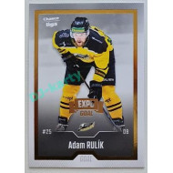 2022/23 Goal Cards Chance Liga 2. série #234 Adam Rulík Expo Gold 1 of 3