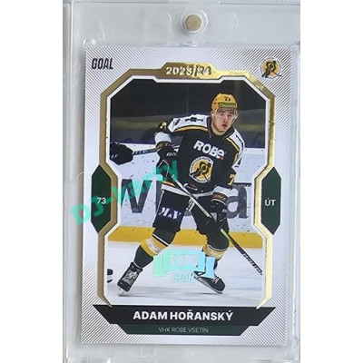 2023/24 Goal cards Chance Liga 2. série #226 Adam Hořanský Expo Silver 1of7