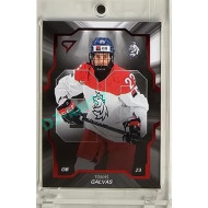 2024 Sportzoo Hokejové ČESKO #CD-07 Tomáš Galvas Team 20