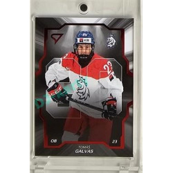 2024 Sportzoo Hokejové ČESKO #CD-07 Tomáš Galvas Team 20