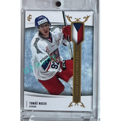 2024 LC Golden Prague Belongs to us #EHC-34 Tomáš Nosek Czech Hockey Games 2024