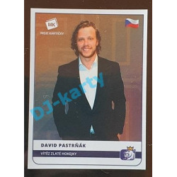 2020 MK Stick David Pastrňák Vítěz Zlaté hokejky #01 Rainbow TOP 5