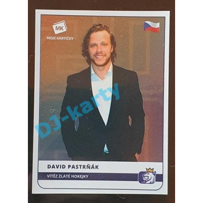 2020 MK Stick David Pastrňák Vítěz Zlaté hokejky #01 Rainbow TOP 5