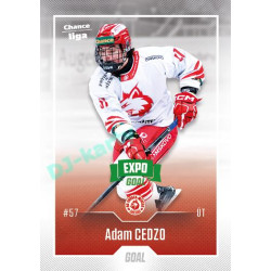 2022/23 Goal Cards Chance Liga Update #468 Adam Cedzo Expo Green