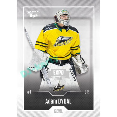 2022/23 Goal Cards Chance Liga Update #420 Adam Dybal Expo Ostrava SILVER 1of2