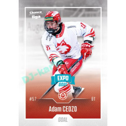 2022/23 Goal Cards Chance Liga Update #468 Adam Cedzo Expo Blue