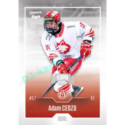 2022/23 Goal Cards Chance Liga Update #468 Adam Cedzo Expo Ostrava SILVER 1of2