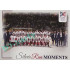 2023/24 Legendary Cards Hlinka Gretzky Cup Young Lions #SRM-50 Kanada vyhrála, Češi oslavili stříbro Silver Run Moments