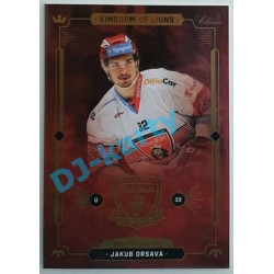 2021 OFS Kingdom of Lions Jakub Orsava #B16