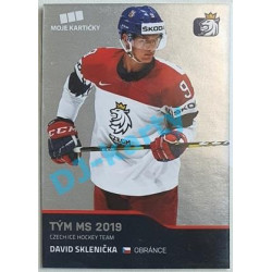2020 MK reprezentace David Sklenička Tým MS 2019 #51