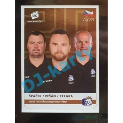 2020 MK Stick Jaroslav Špaček/Filip Pešán/Martin Straka Noví trenéři národního týmu #13 1 of 25 Bronze