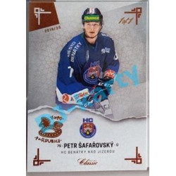 2019/20 OFS Chance liga Petr Šafařovský #262 1/1 Leather paralel Expo Pard.
