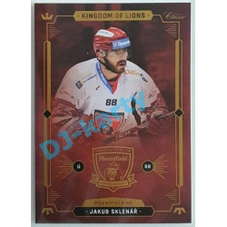 2021 OFS Kingdom of Lions Jakub Sklenář #B18