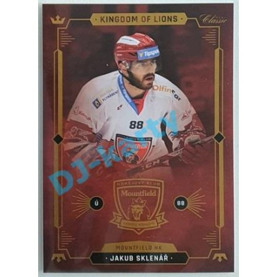 2021 OFS Kingdom of Lions Jakub Sklenář #B18