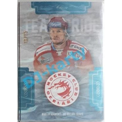 2019/20 OFS Martin Adamský #TP-MAD 13/15 Team Pride Ice Water