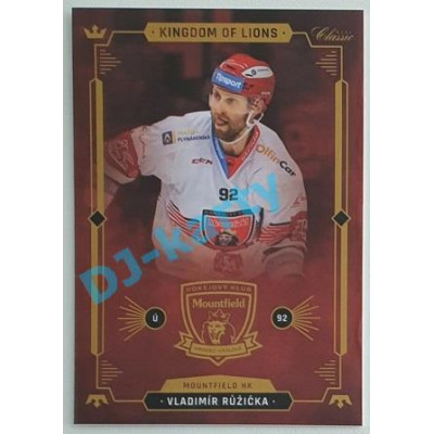 2021 OFS Kingdom of Lions Vladimír Růžička #B19