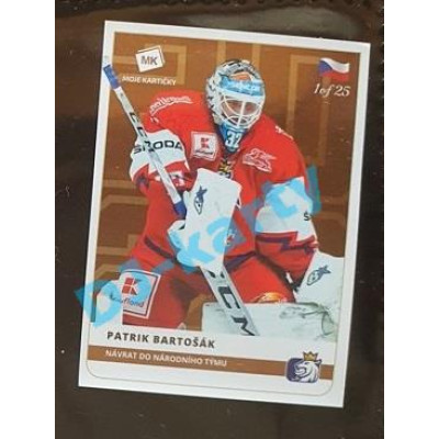 2020 MK Stick Patrik Bartošák Návrat do národního týmu #15 1 of 25 Bronze