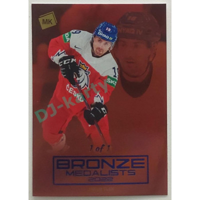 2023 MK reprezentace #BM-15 Jakub Flek Bronze Medalists Men parallel 1/1