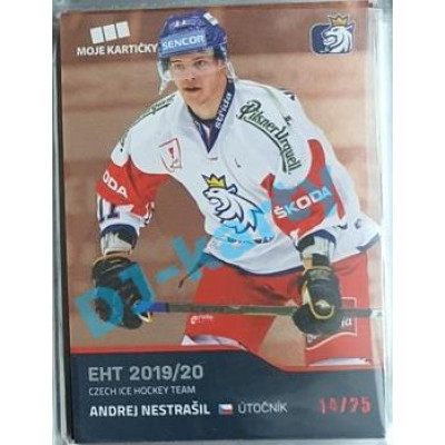 2020 MK reprezentace Andrej Nestrašil EHT #24 14/25 Red