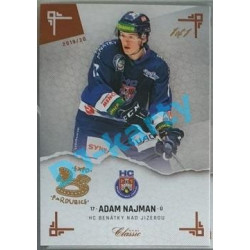 2019/20 OFS Chance liga Adam Najman #251 1/1 Leather paralel Expo Pard.