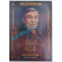 2021 OFS Kingdom of Lions Ladislav Souček #B33 02/12 Rainbow