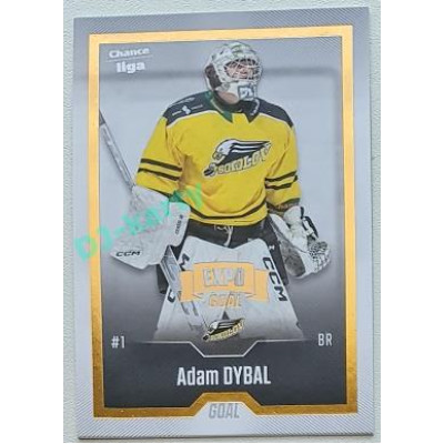 2022/23 Goal Cards Chance Liga Update #420 Adam Dybal Expo Gold 1 of 3