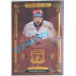 2021 OFS Kingdom of Lions Radovan Pavlík #B21