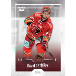 2022/23 Goal Cards Chance Liga 1. série #056 David Ostřížek