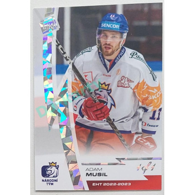 2023 MK reprezentace #34 David Musil Diamond parallel 1/1