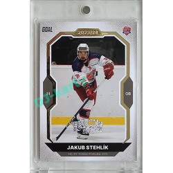 2023/24 Goal cards Chance Liga 2. série #264 Jakub Stehlík Expo Perleť 1of7