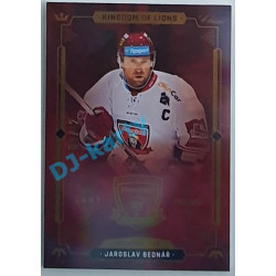 2021 OFS Kingdom of Lions Jaroslav Bednář #LI-2 04/12 Last Icons Rainbow